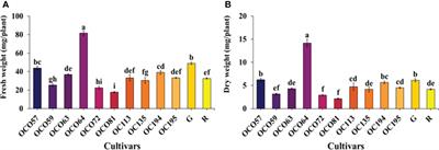 Physiological responses and variation in secondary metabolite content among Thai holy basil cultivars (Ocimum tenuiflorum L.) grown under controlled environmental conditions in a plant factory